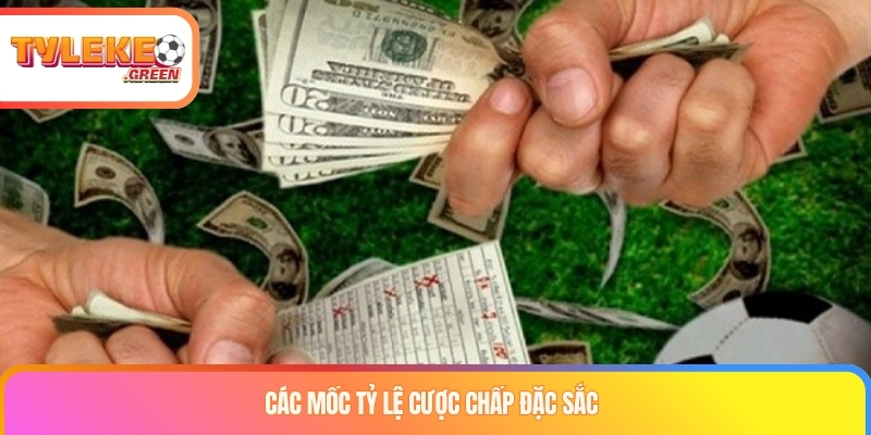 Kèo Châu Á Trong Túc Cầu - Chinh Phục Phần Thưởng Lớn Các mốc tỷ lệ cược chấp đặc sắc