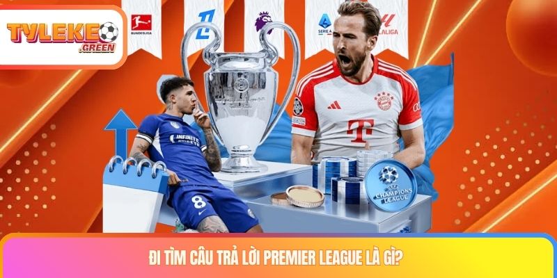 Premier League Là Gì? Giải Mã Sức Hút Của Ngoại Hạng Anh Đi tìm câu trả lời Premier League là gì?