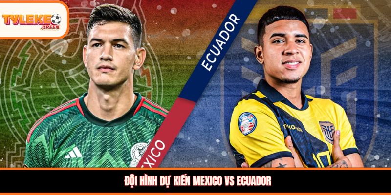 Soi kèo Mexico vs Ecuador, 08:00 ngày 01/07 – Vòng 1/16 WC 2026 Đội hình dự kiến Mexico vs Ecuador