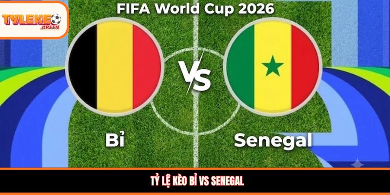 Soi kèo Bỉ vs Senegal, 3:00, 02/07 – Đại chiến vé tứ kết WC 2026 Tỷ lệ kèo Bỉ vs Senegal