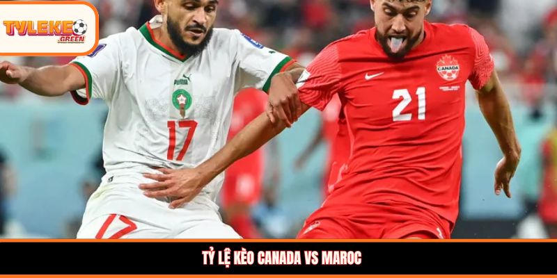 Soi kèo Canada vs Maroc, 00:00, 05/07: Cuộc chiến cân tài tại vòng 1/8 WC Tỷ lệ kèo Canada vs Maroc