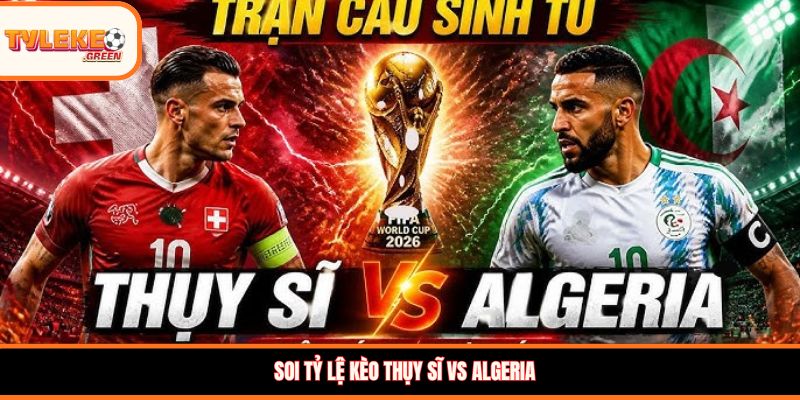 Soi kèo Thụy Sĩ vs Algeria, 10:00 ngày 03/07: Bản lĩnh châu Âu lên tiếng Soi tỷ lệ kèo Thụy Sĩ vs Algeria